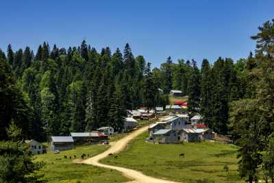 Sinekli Yaylası